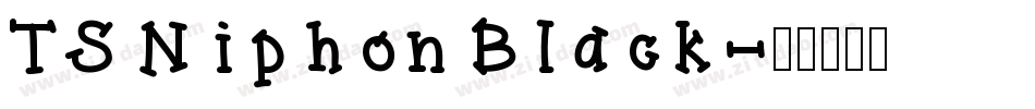 TS Niphon Black字体转换